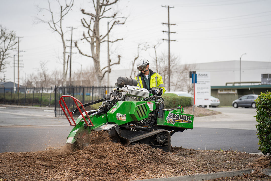 Close-up of stump grinder blade